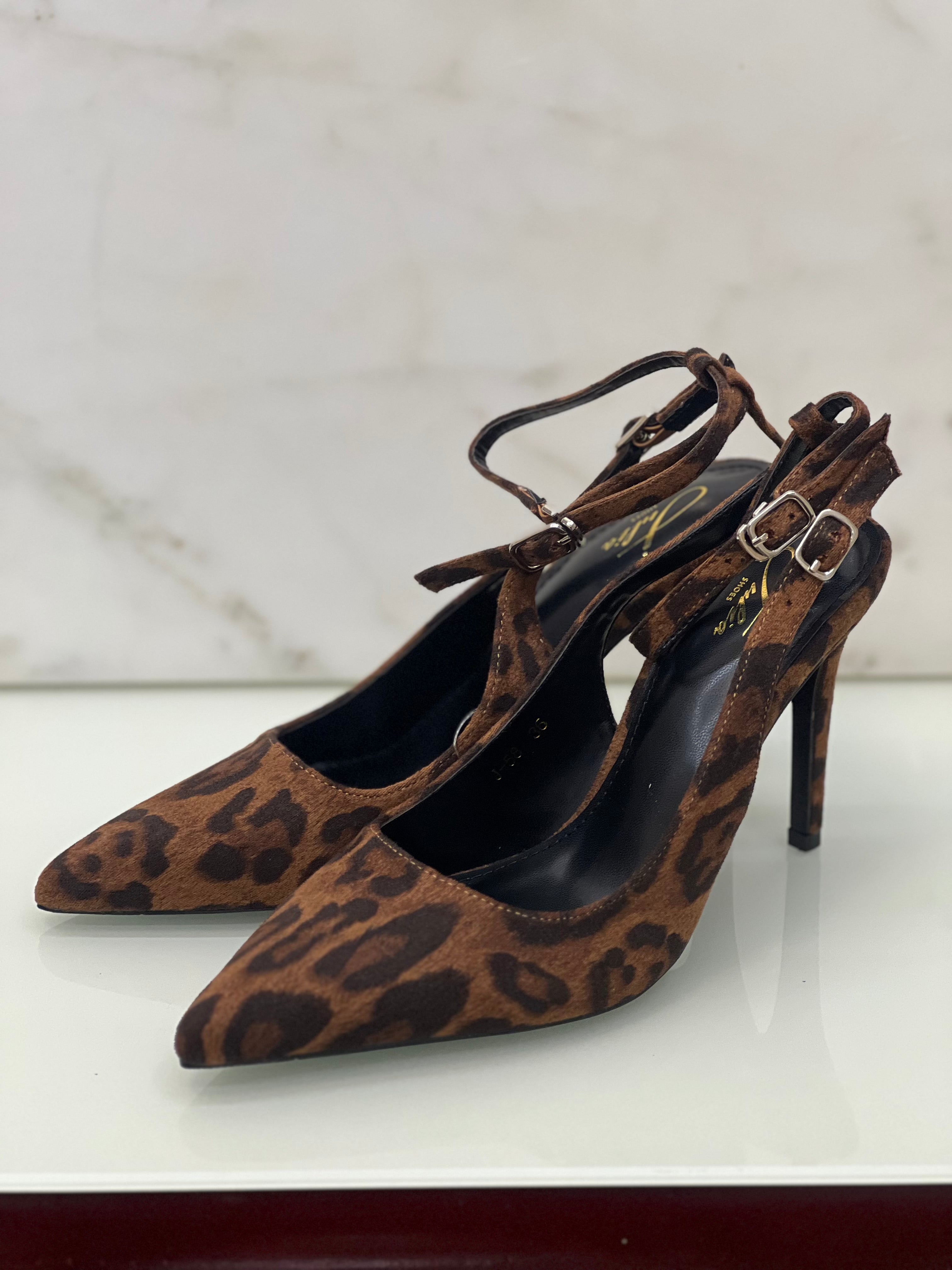 Talon leopard🐆✨