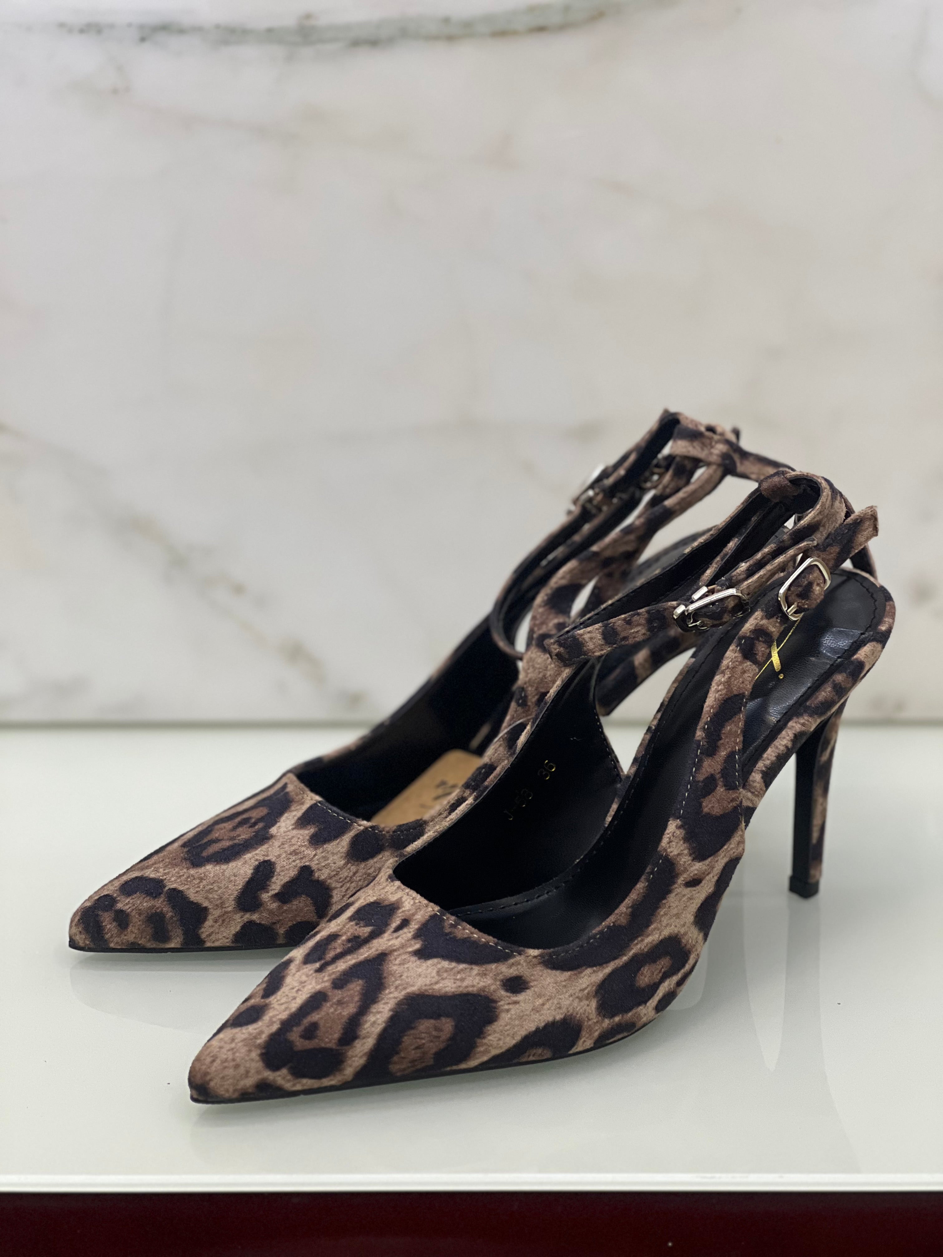 Talon leopard🐆✨